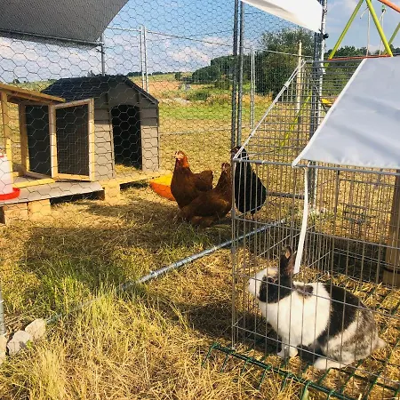 Le De Golette * Mettet